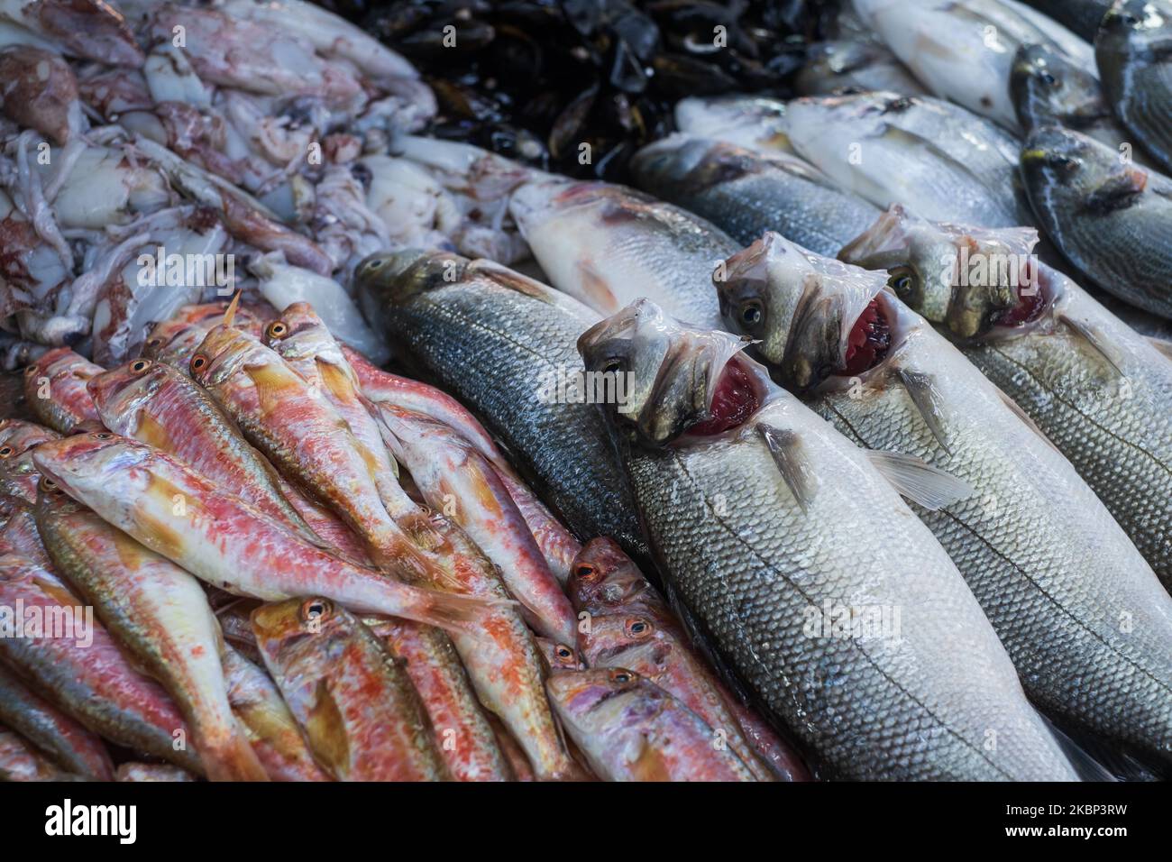 Seafood selling at the fish market in Fethiye, Turkeye Stock Photo Alamy
