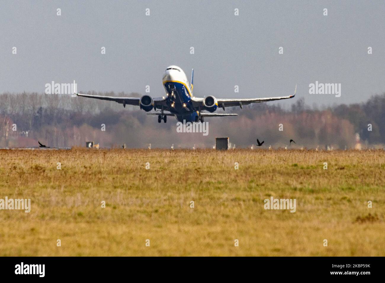 A Ryanair Boeing 737-800 commercial aircraft as seen during takeoff rotating and flying off the runway at Eindhoven EIN EHEH airport in the Netherlands. The narrow body Boeing 737NG airplane has the registration EI-ENJ. Ryanair RYR FR is an Irish budget airline, the largest European low cost carrier with headquarters in Dublin, Irelands. February 2020 (Photo by Nicolas Economou/NurPhoto) Stock Photo