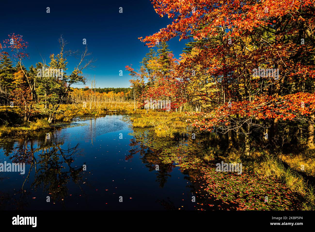Quabbin Reservoir   New Salem, Massachusetts, USA Stock Photo