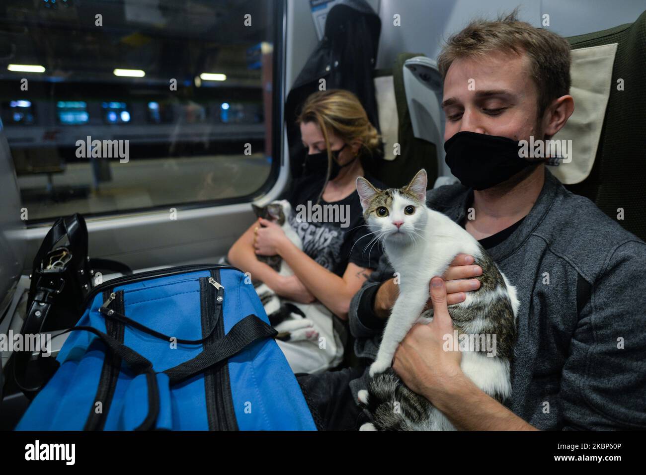 Passangers with cats seen inside a Pendolino train from Krakow to Warsaw, in Krakow central train station. Polish national railway operator PKP Intercity has restored the high-speed traffic. The first Pendolino trains returned to the tracks today after a two-month suspension. However, only the Krakow – Warsaw – Gdynia route is served at the moment. On Friday, May 22, 2020, Krakow, Lesser Poland Voivodeship, Poland (Photo by Artur Widak/NurPhoto) Stock Photo