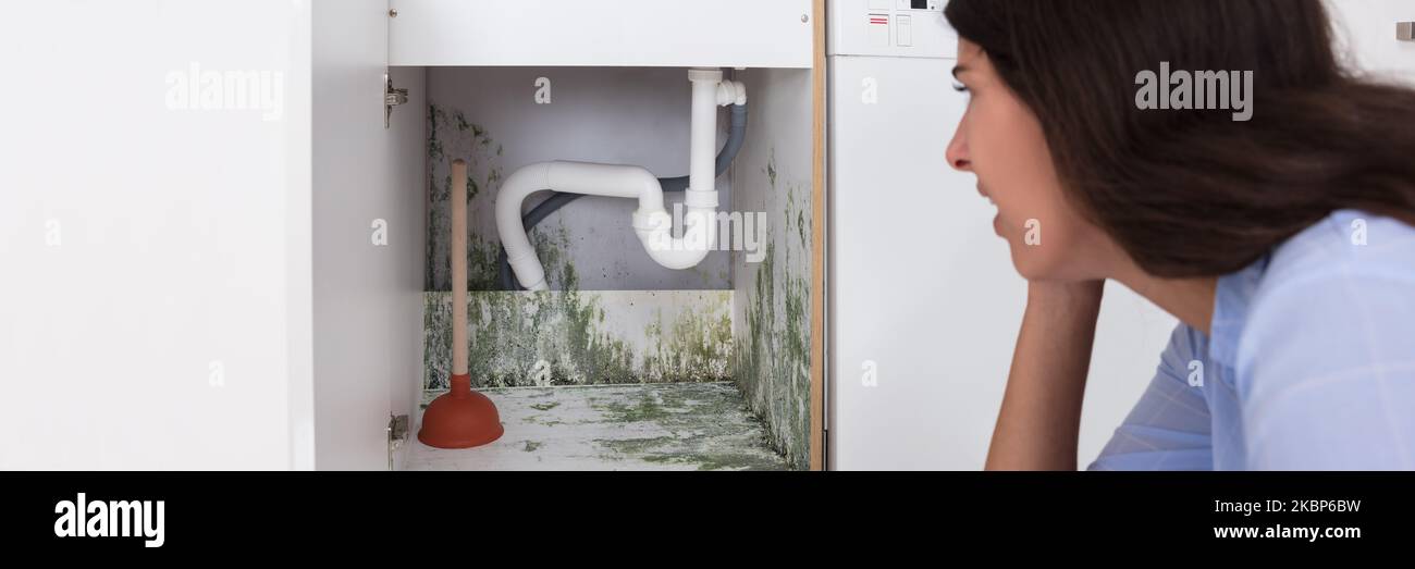 House Interior Mold. Kitchen Mould Stain Stock Photo Alamy