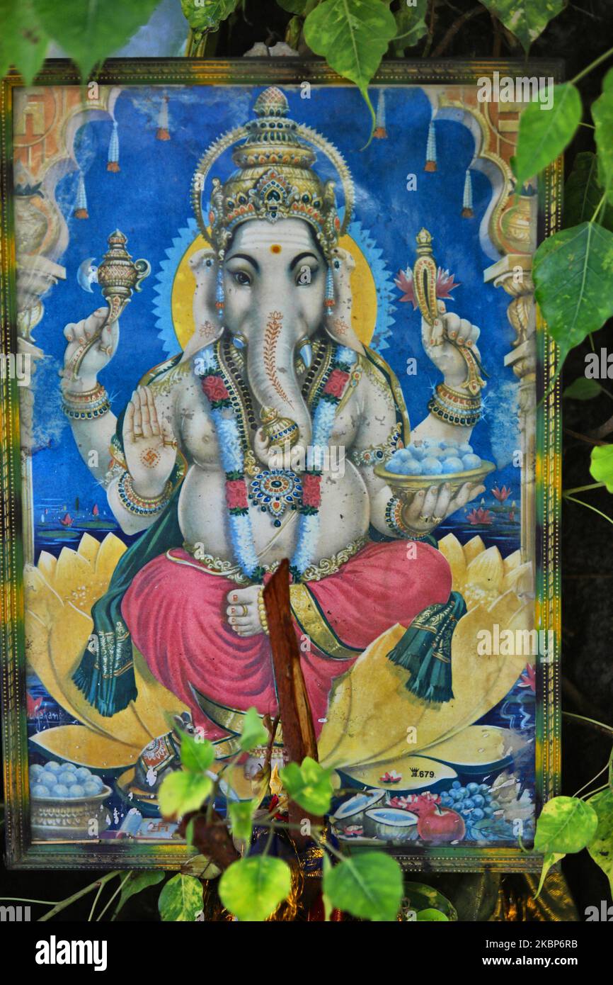 Picture of Lord Ganesh adorns a large peepal tree at a small Hindu temple in Mallavi, Northern Province, Sri Lanka, on August 15, 2017. (Photo by Creative Touch Imaging Ltd./NurPhoto) Stock Photo