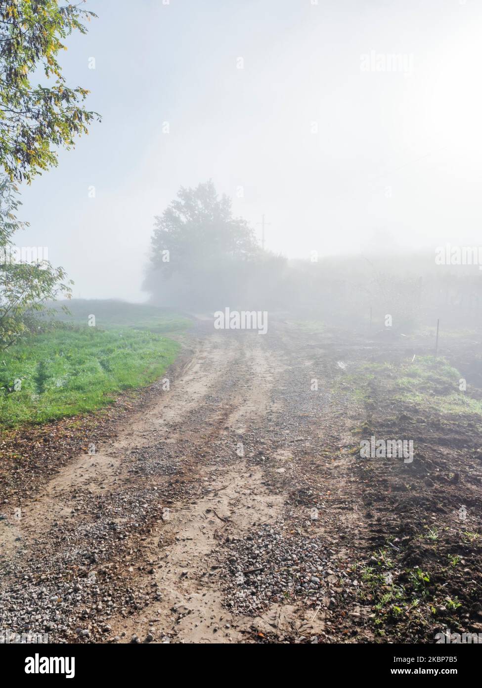 Morning foggy bright sunlight remains of Parenzana Istrian railway now currently country road countryroad near Motovun, Croatia Europe Stock Photo