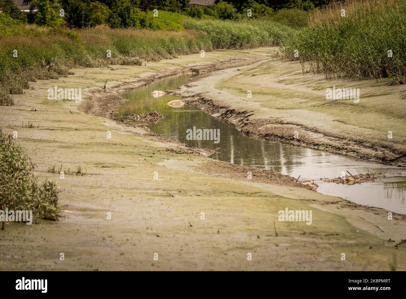 Low water level in rivers and groundwater can be seen in Heusden ...