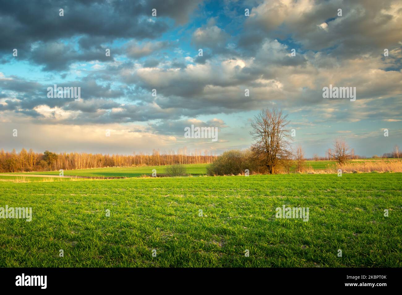 Spring clouds over meadows in eastern Poland, sunny say Stock Photo