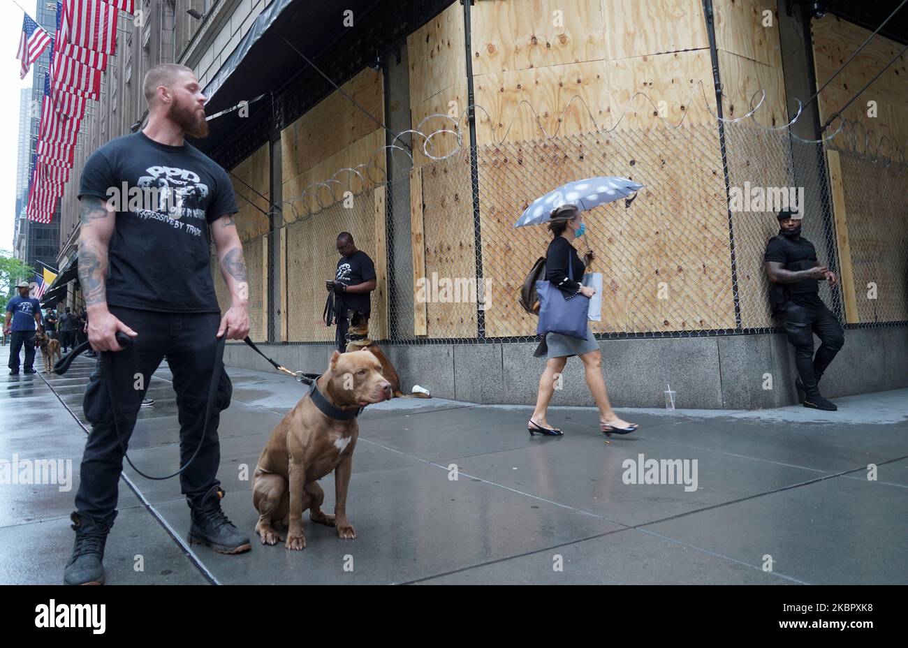 Famed Saks Fifth Avenue in New York City prepared against looting on June 5 by security guards with dogs and a chain-link fence over the boarded windows during George Floyd protests spread across big cities of the United States. (Photo by Selcuk Acar/NurPhoto) Stock Photo