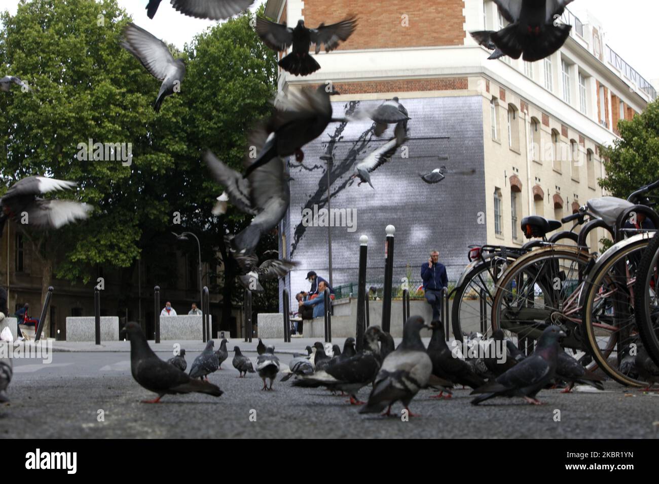 Floyd pigeon cheap supply