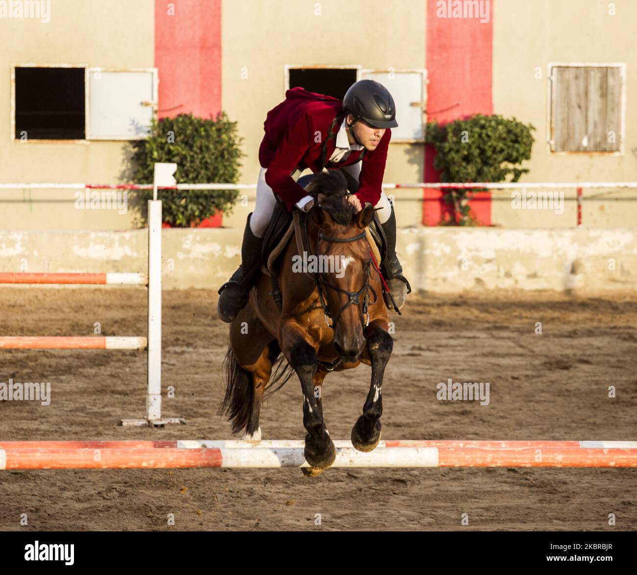 Ahmad Rider A palestinian rider Ahmad Al Azaze “15 years old” jumping that resumed ...