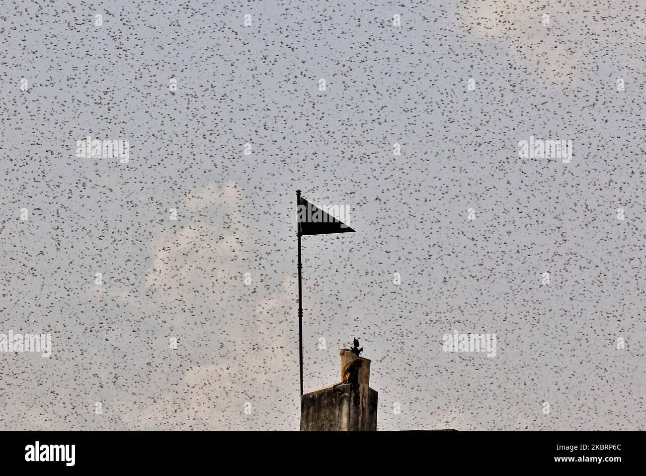 Half of north indian cities hi-res stock photography and images - Alamy