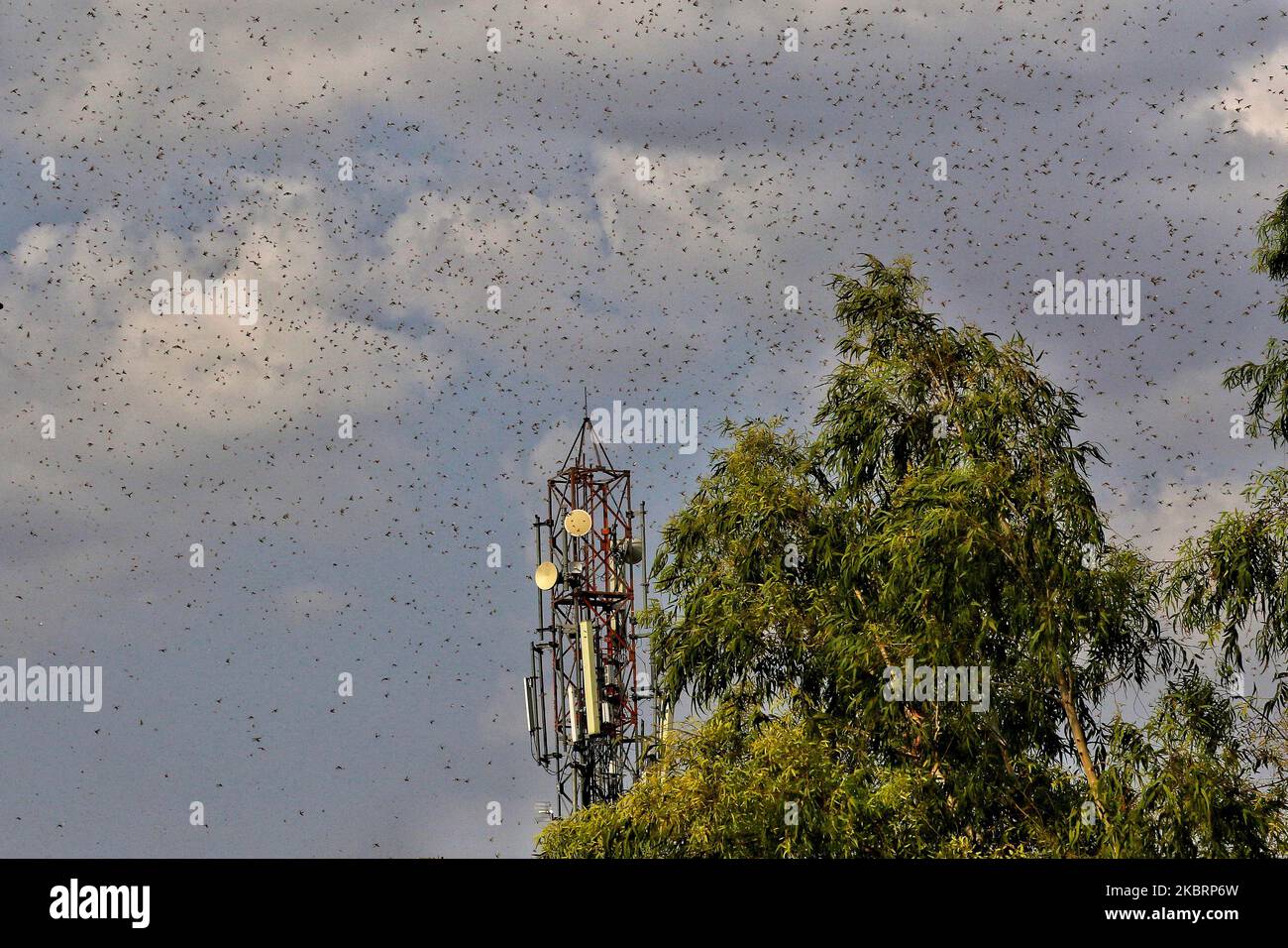 Half of north indian cities hi-res stock photography and images - Alamy