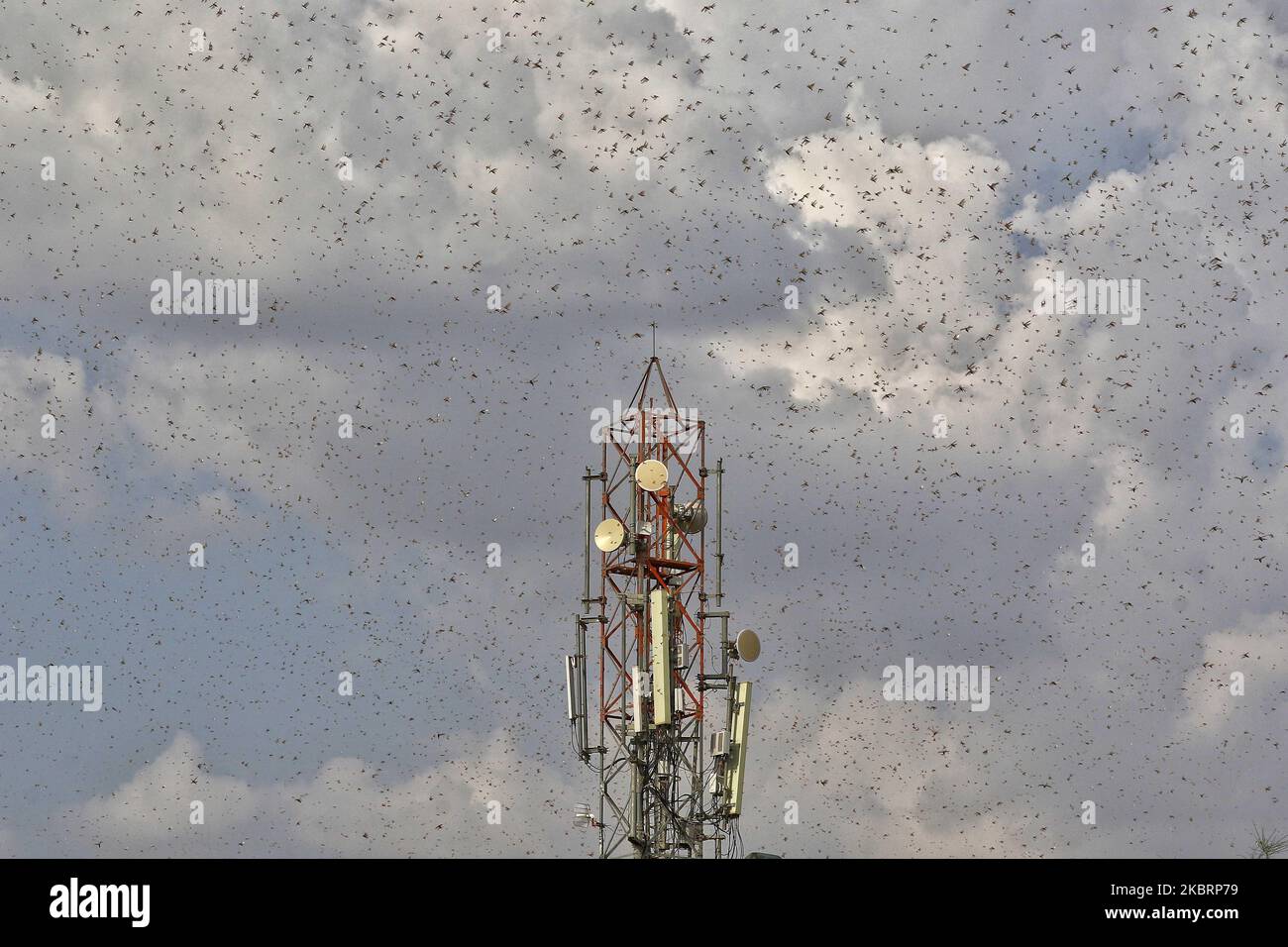 Half of north indian cities hi-res stock photography and images - Alamy