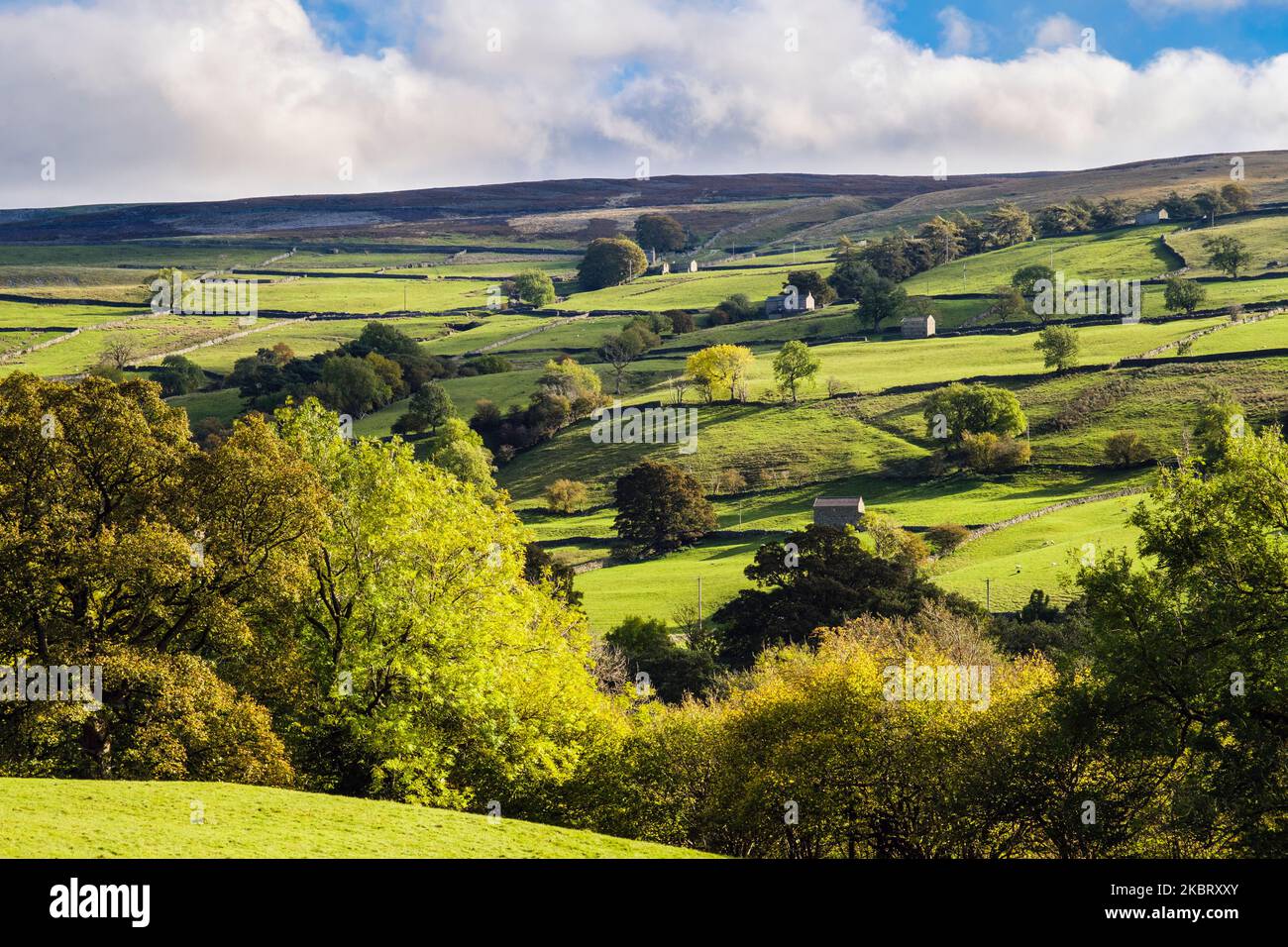 English countryside and farms on hillside above River Swale in Yorkshire Dales National Park. Gunnerside Swaledale north Yorkshire England UK Britain Stock Photo