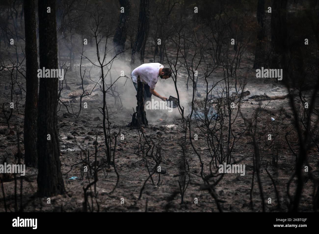 The fire that broke out at two different points in the forest area in Heybeliada, was taken under control. The fire was intervened by the Forest District Directorate Fire Brigade, Istanbul Metropolitan Municipality Fire and War School personnel and equipment, and 2 helicopters. Citizens also supported the extinguishing works in Istanbul, Turkey on July 12, 2020. (Photo by Onur Dogman/NurPhoto) Stock Photo