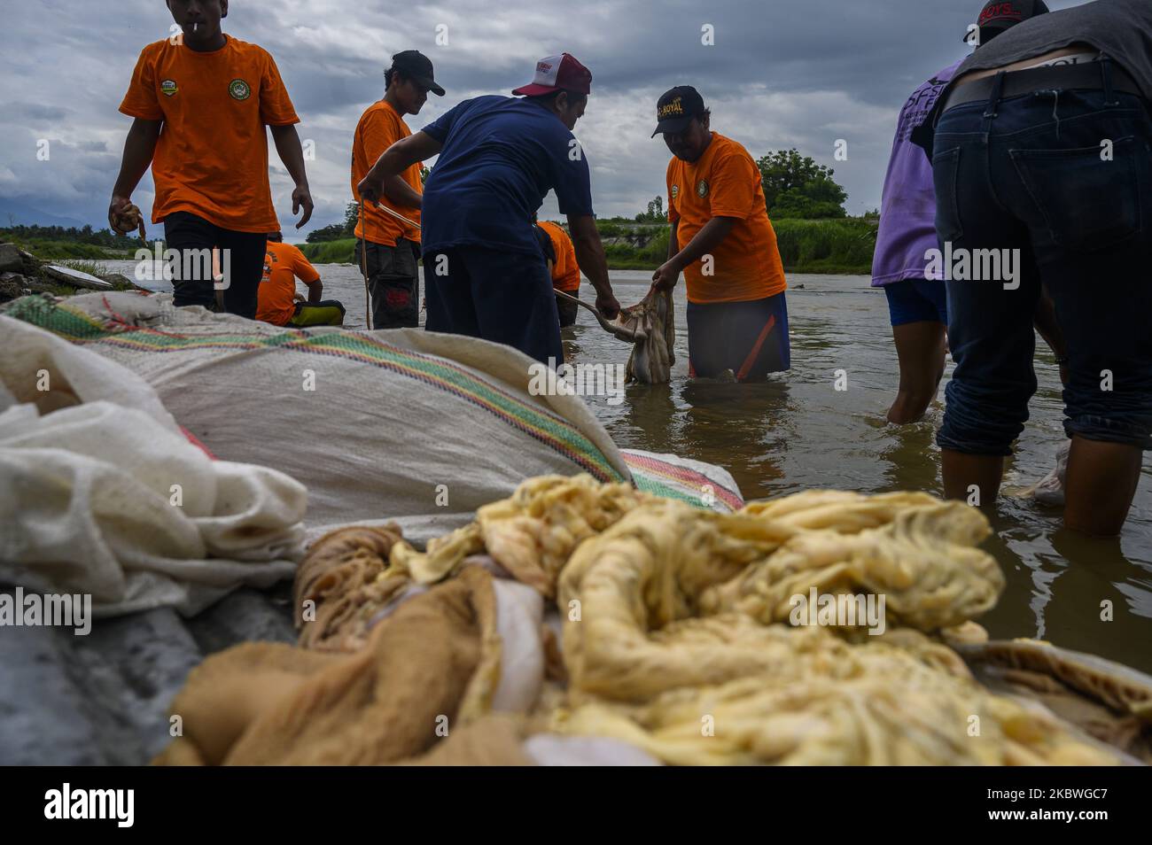 Residents clean the innards of cattle slaughtered during the Eid al ...