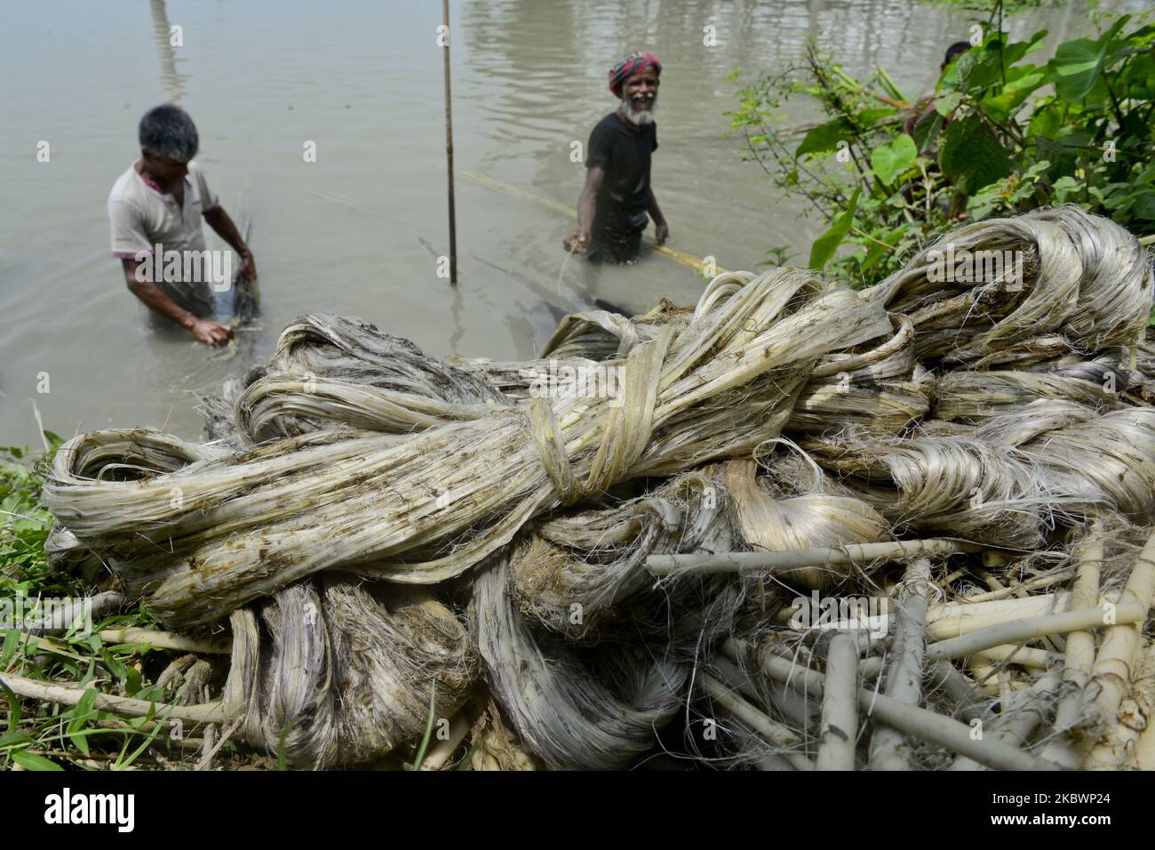 Jute cultivation hires stock photography and images Alamy