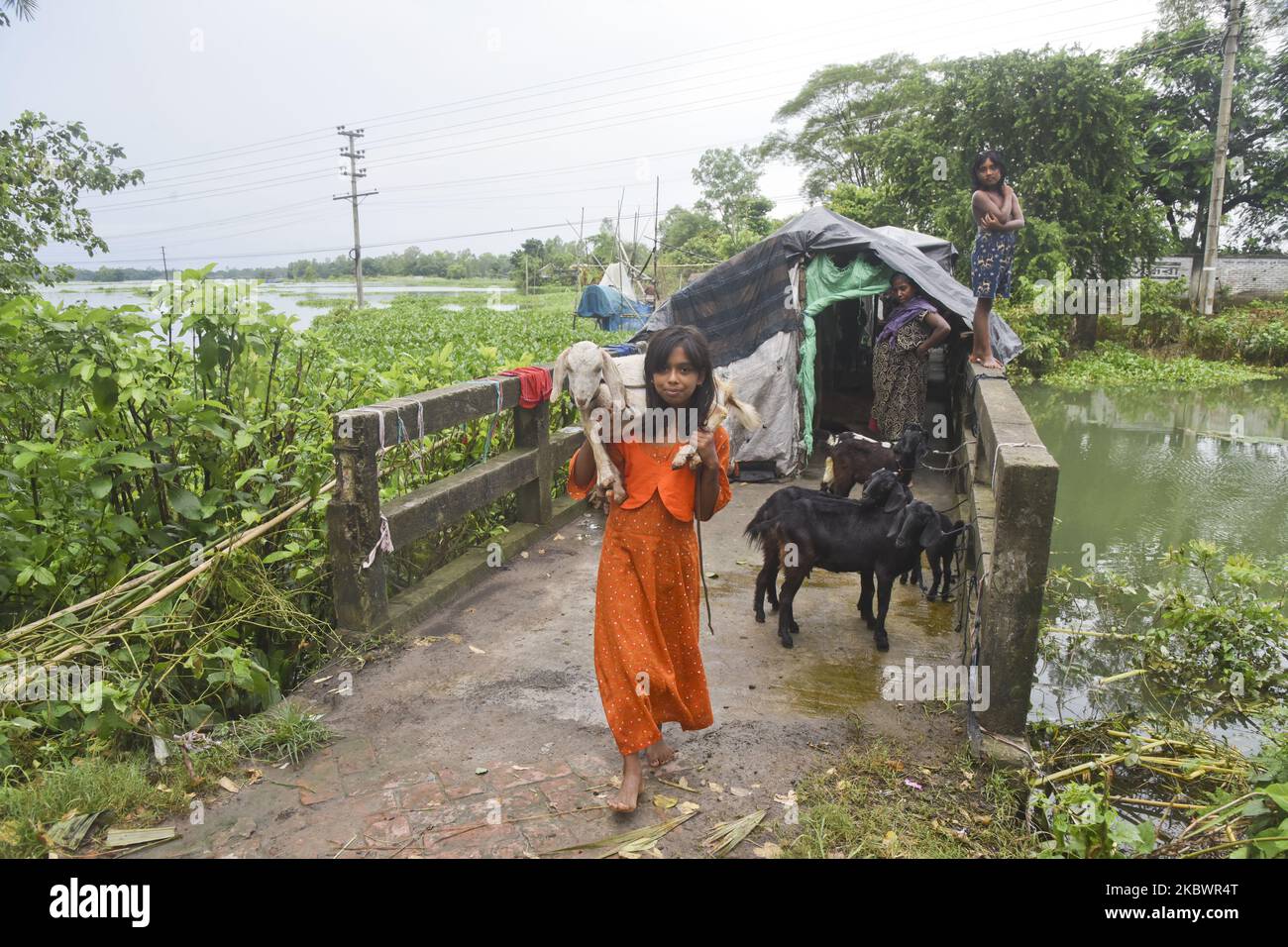 Flood affected people takes shelter with their pet animal on the bridge