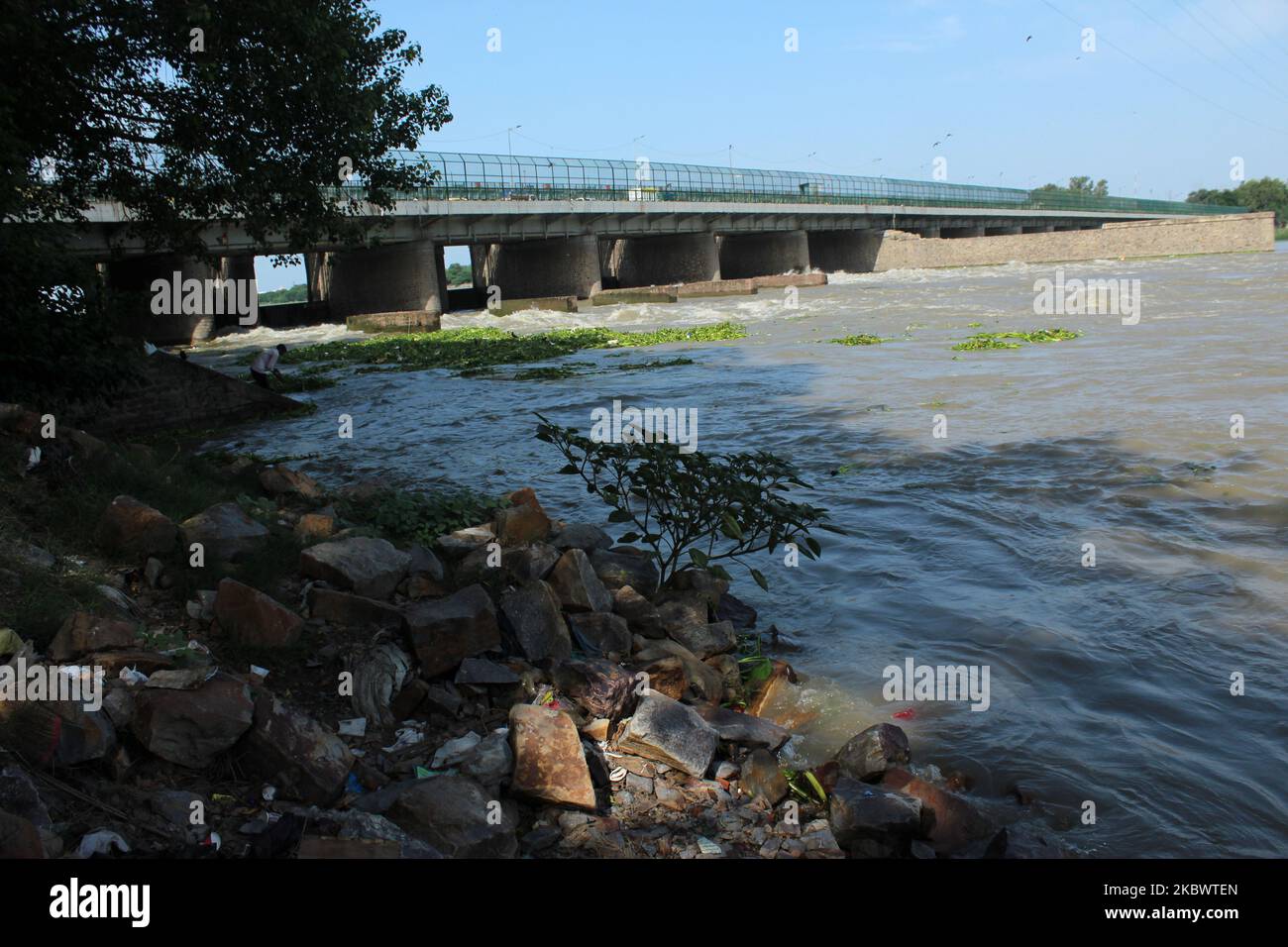 View of river Yamuna at Wazirabad barrage near Signature Bridge after Haryana releases water ahead of monsoon in the national capital New Delhi, India on August 4, 2020. (Photo by Mayank Makhija/NurPhoto) Stock Photo