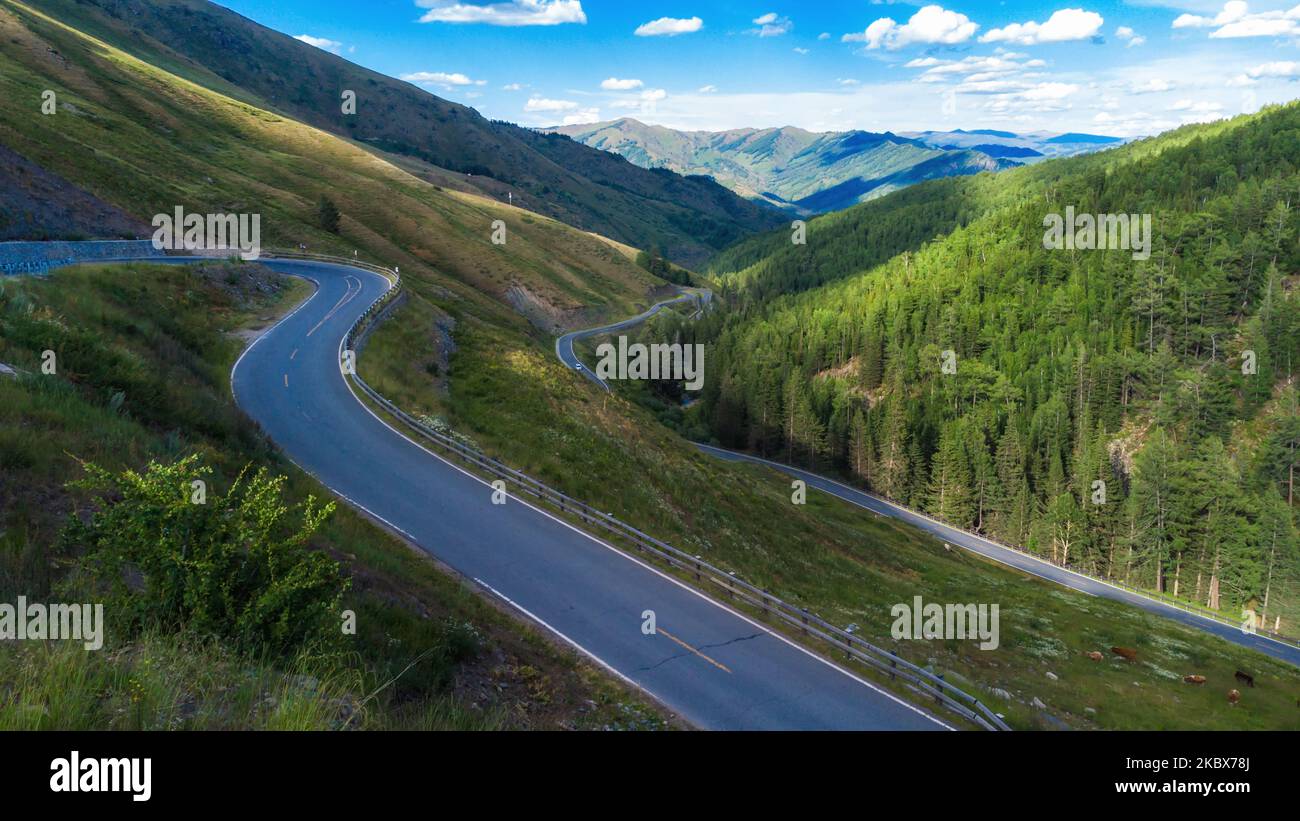 An aerial view of a winding road surrounded by greenery on a sunny day ...