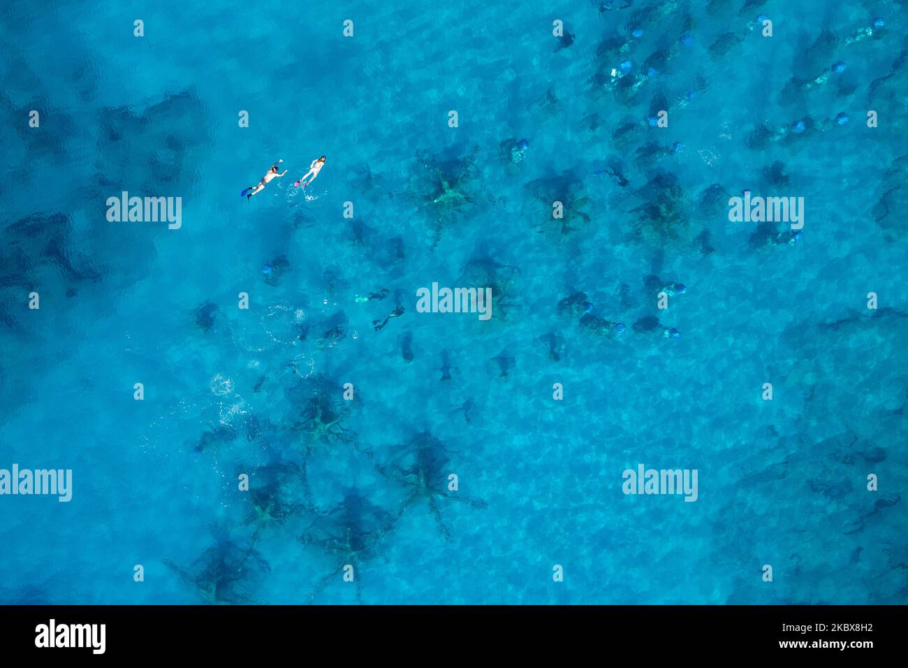 Drone aerial of scuba divers diving in the sea Stock Photo - Alamy