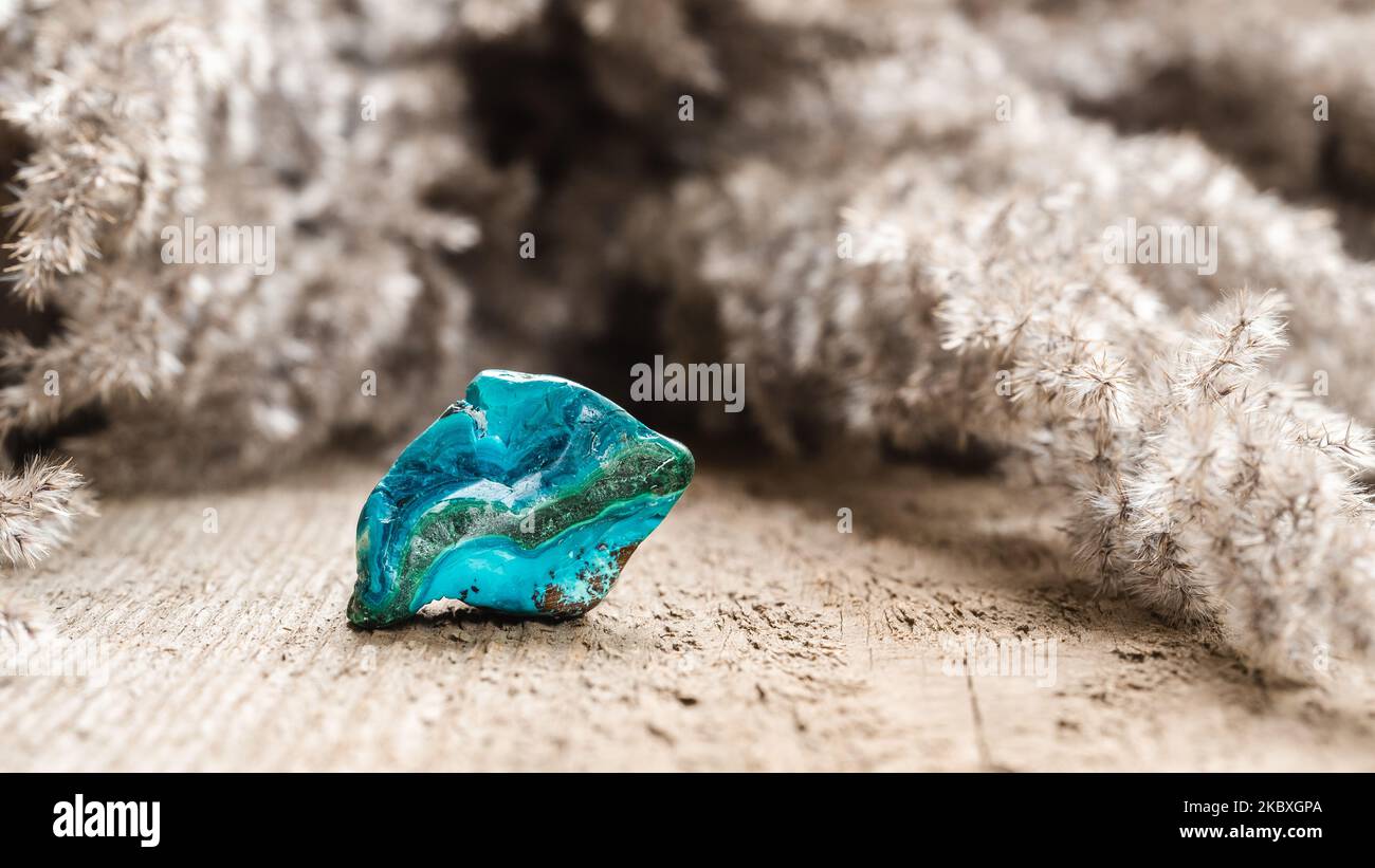 Tumbled Cyan Colored Chrysocolla Phyllosilicate Mineral on Wooden Background Stock Photo