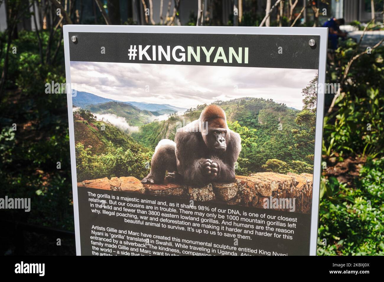 A view of a massive gorilla sculpture by Gillie and Marc Schattner in