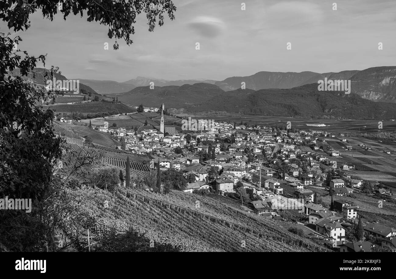 Tramin Village (Termeno) along the wine route. Tramin is the wine