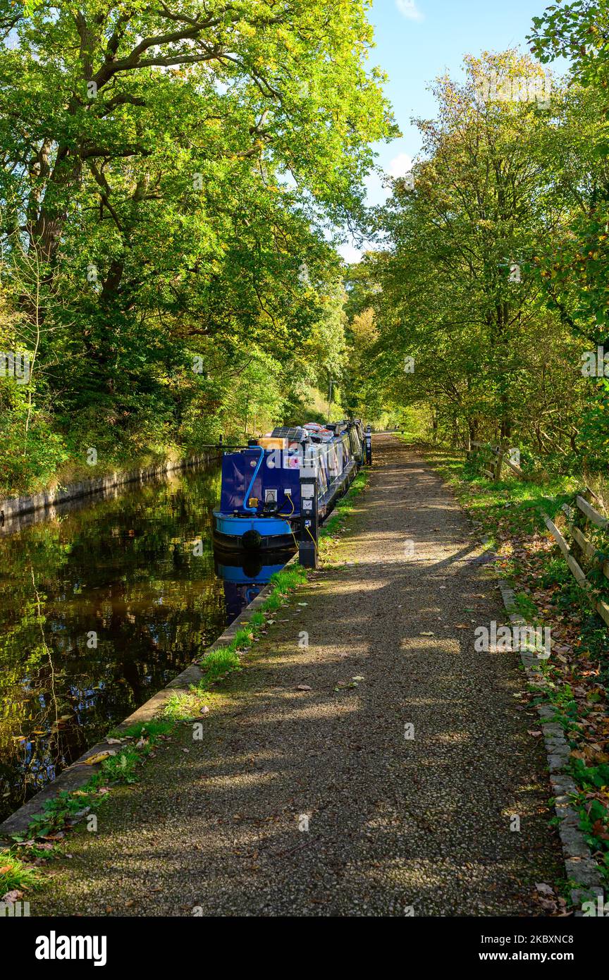 A tranquil scene of a narrowboat moored beneath trees on the Llangollen Canal in Clwyd, Wales in early autumn. Stock Photo