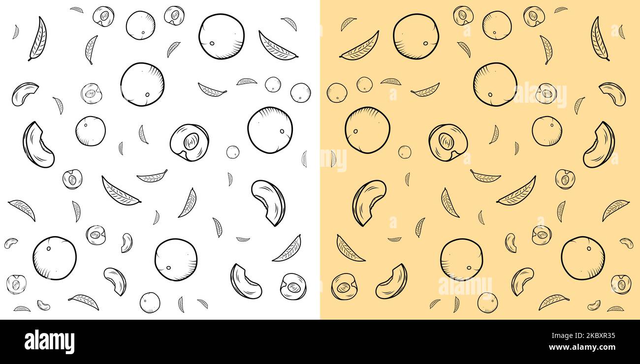 A vector illustration of apricots and leaves on white and yellow background Stock Vector