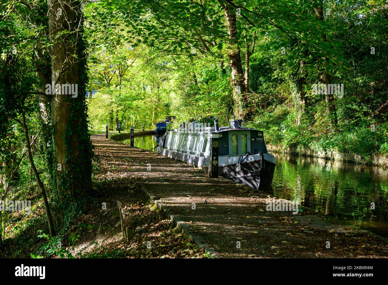 A tranquil scene of a narrowboat moored beneath trees on the Llangollen Canal in Clwyd, Wales in early autumn. Stock Photo