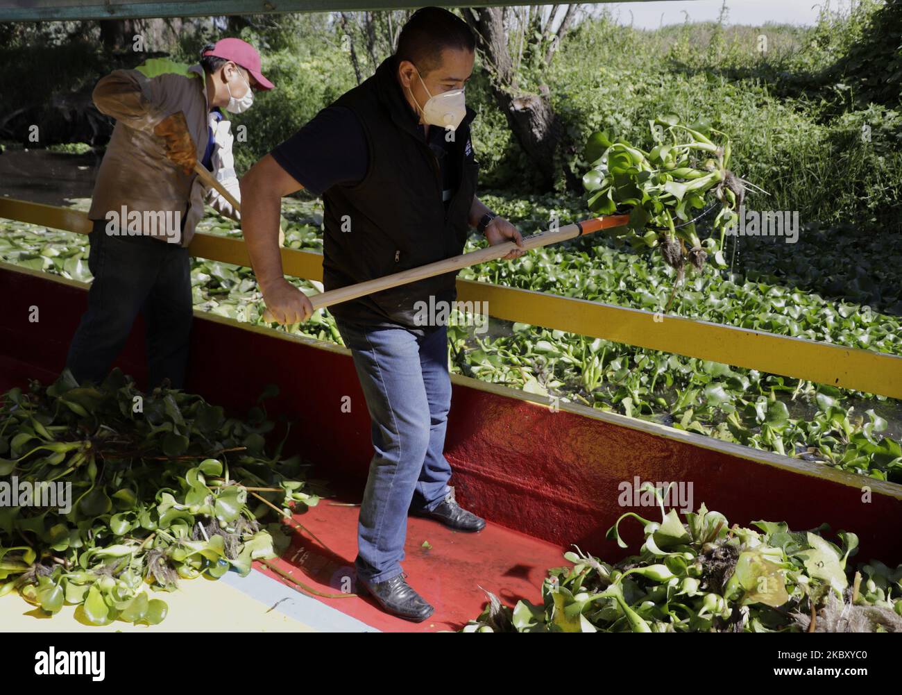 Xochimilco canals cleaning day hires stock photography and images Alamy