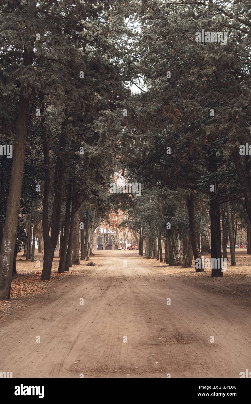 Vertical shot pathway park hi-res stock photography and images - Alamy