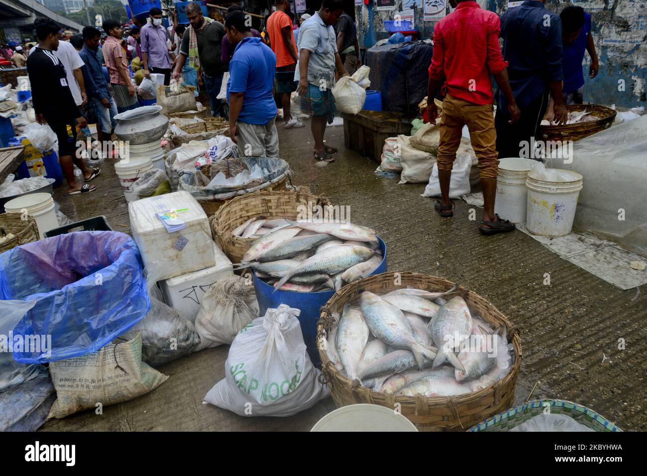 Bangladeshi vendors sell Hilsa fish at the Karwan Bazar wholesale fish