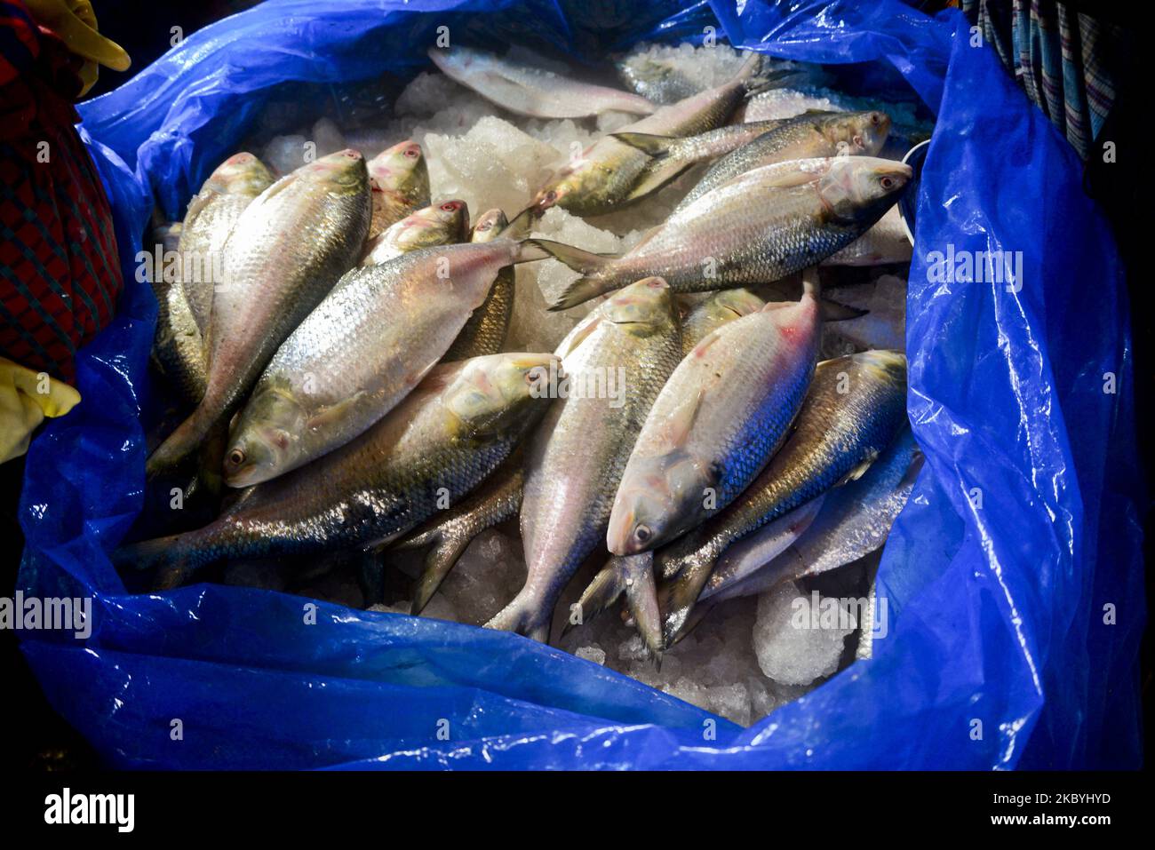 Bangladeshi vendors sell Hilsa fish at the Karwan Bazar wholesale fish