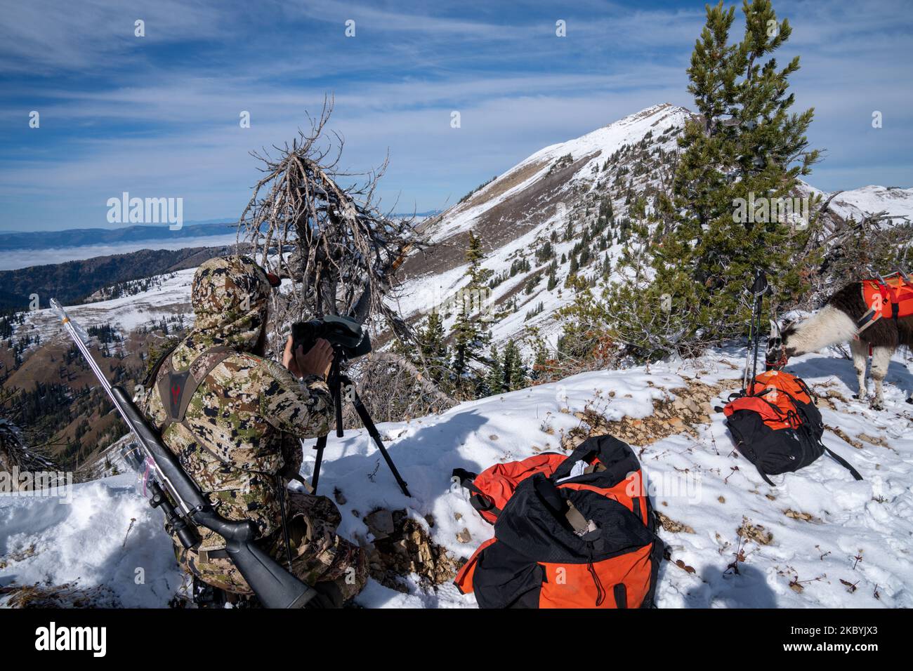 Wyoming, USA October 2, 2022 Hunter wearing camo uses a spotting