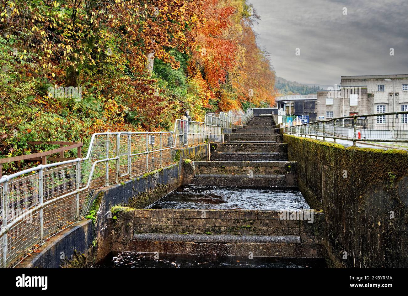 Pitlochry Perthshire Scotland the river Tummel salmon fish ladder with