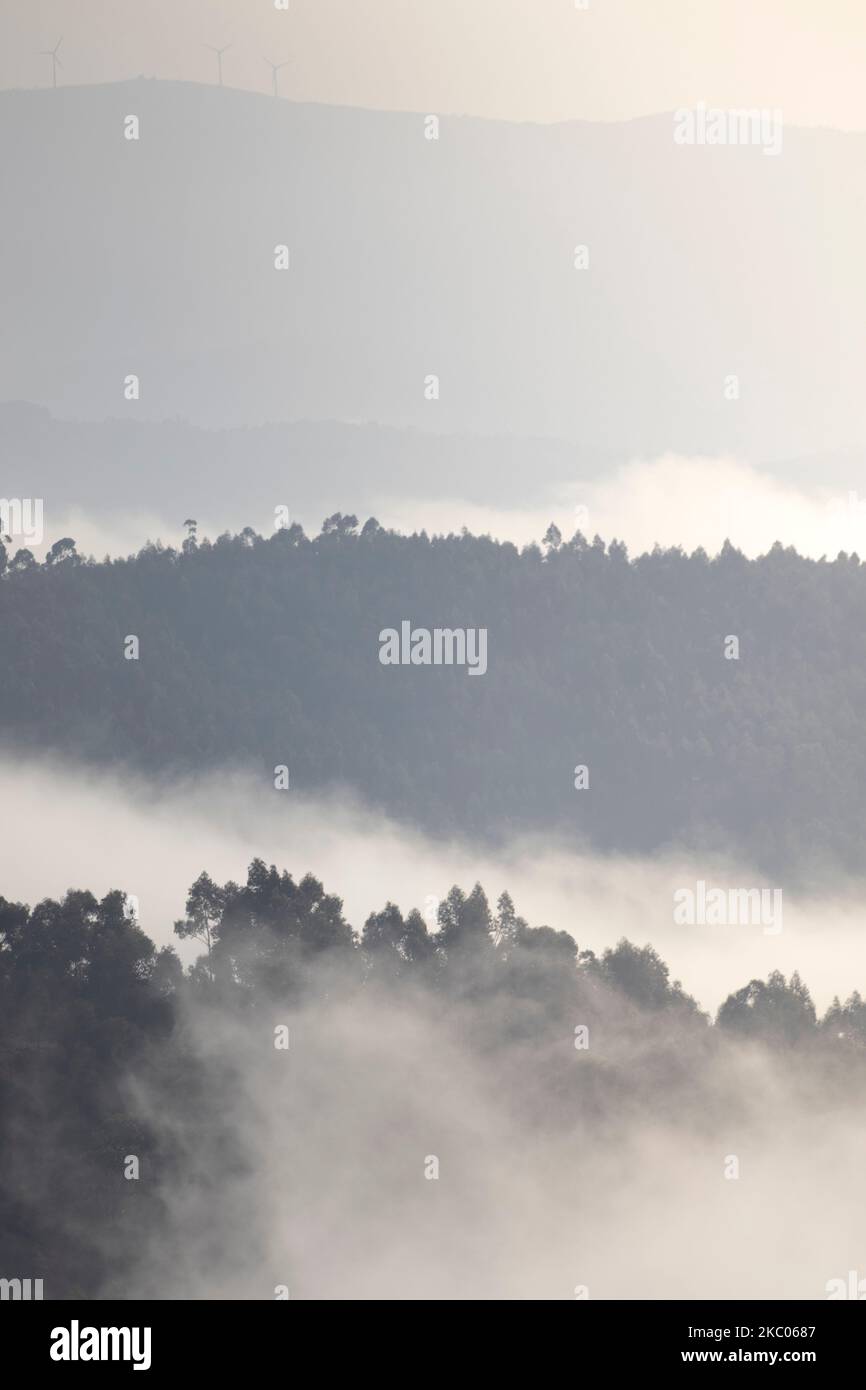 A vertical aerial view of a mountainous landscape with forests covered ...