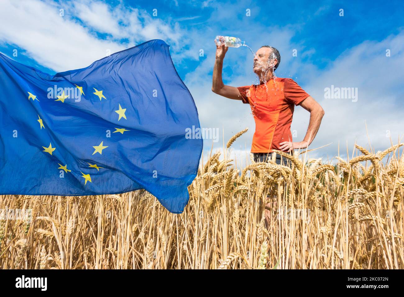 Jogger on footpath next to wheat field with EU flag. Global warming, climate change, crisis, drought, heatwave... concept, Europe Stock Photo