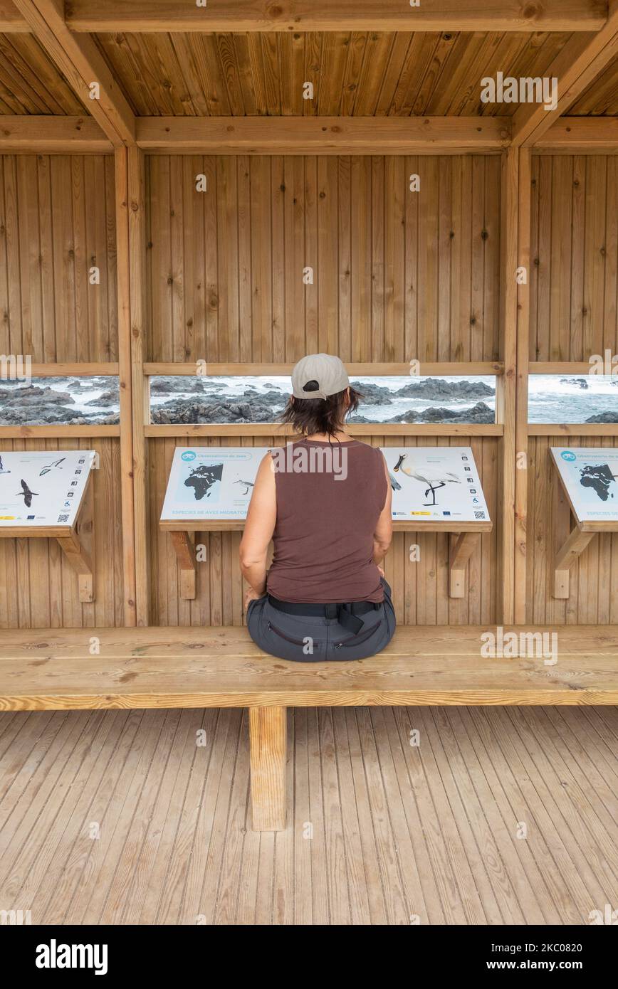 Woman birdwatching from hide on north coast of Tenerife, Canary Islands, Spain. Stock Photo