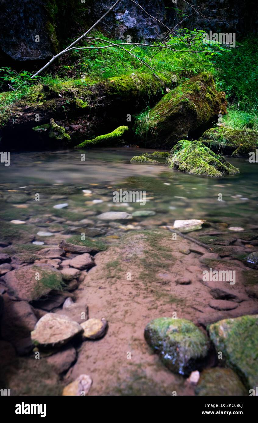 A flowing rocky river surrounded by dense trees Stock Photo