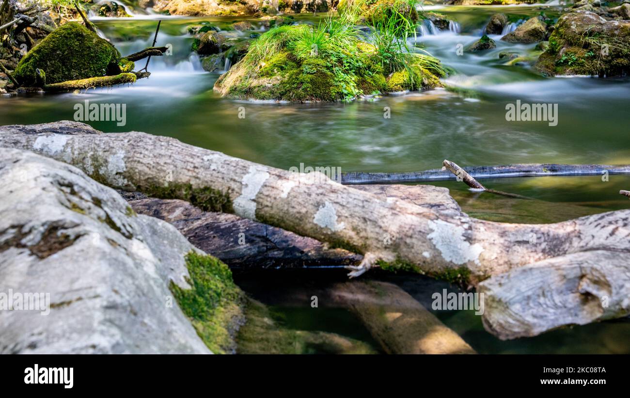 A flowing rocky river with wood and growing grass Stock Photo