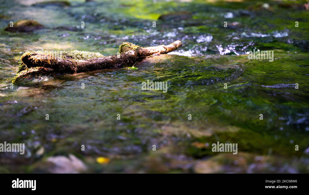 A flowing rocky river with wood Stock Photo