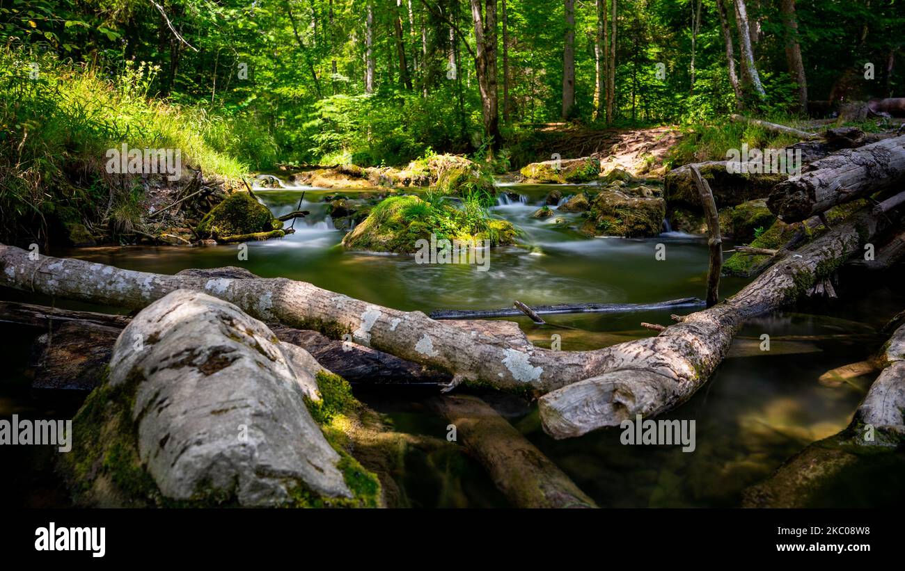 A flowing rocky river surrounded by dense trees Stock Photo