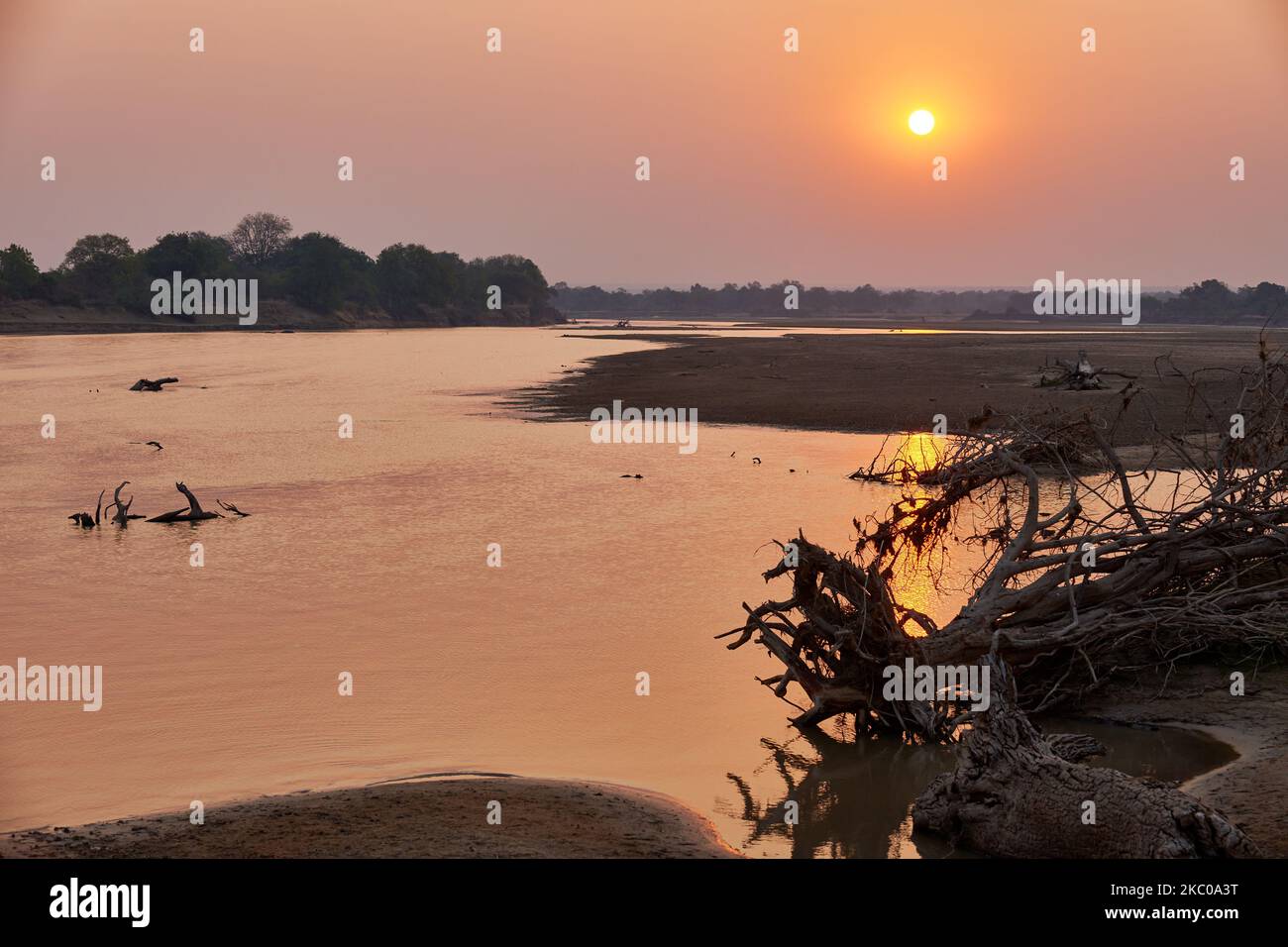 Sunset at South Luangwa river, South Luangwa National Park, Zambia, Africa Stock Photo