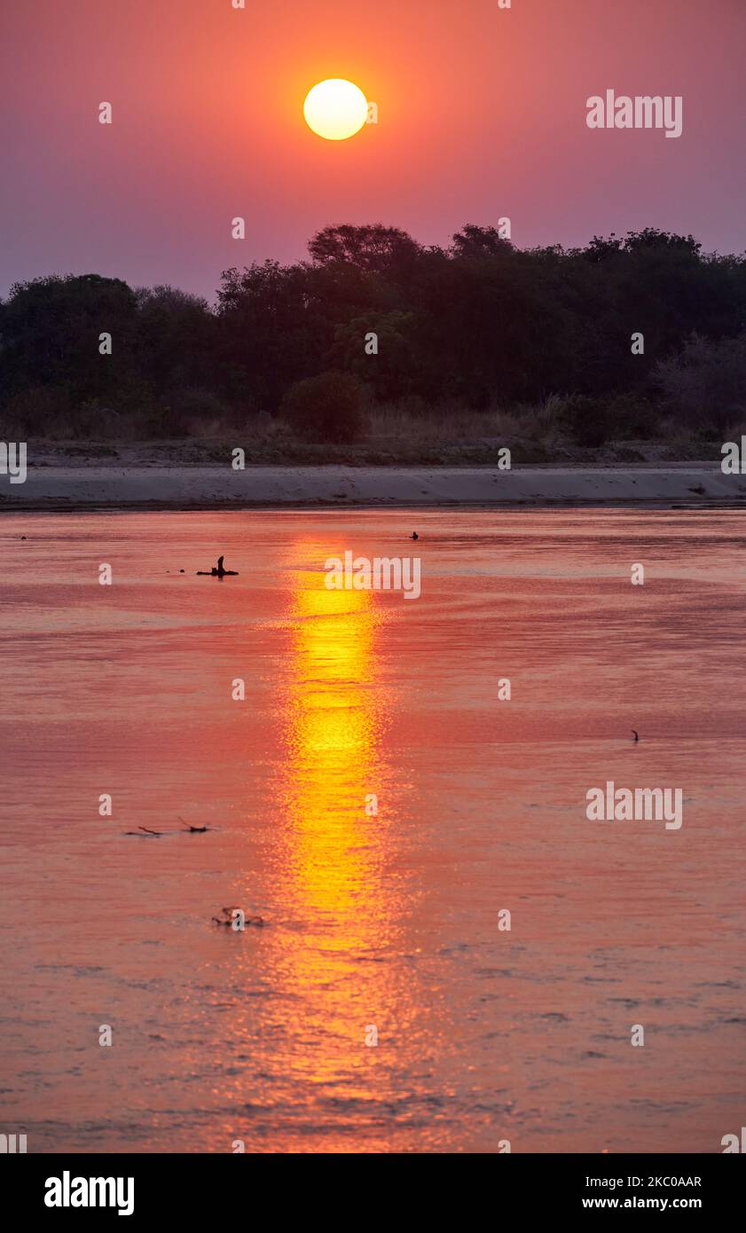 sunset at Luamba river, Luambe National Park, Zambia, Africa Stock Photo
