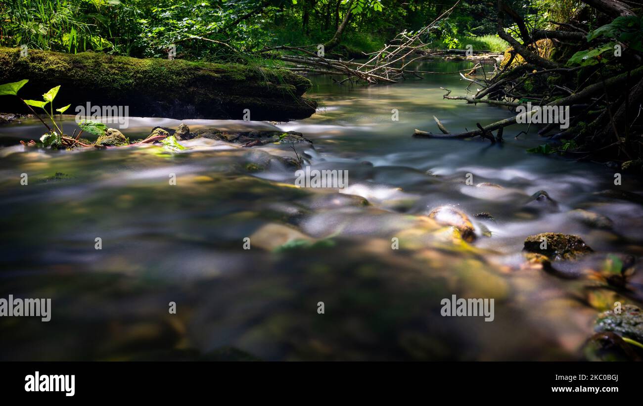 A flowing rocky river surrounded by dense trees in forest Stock Photo