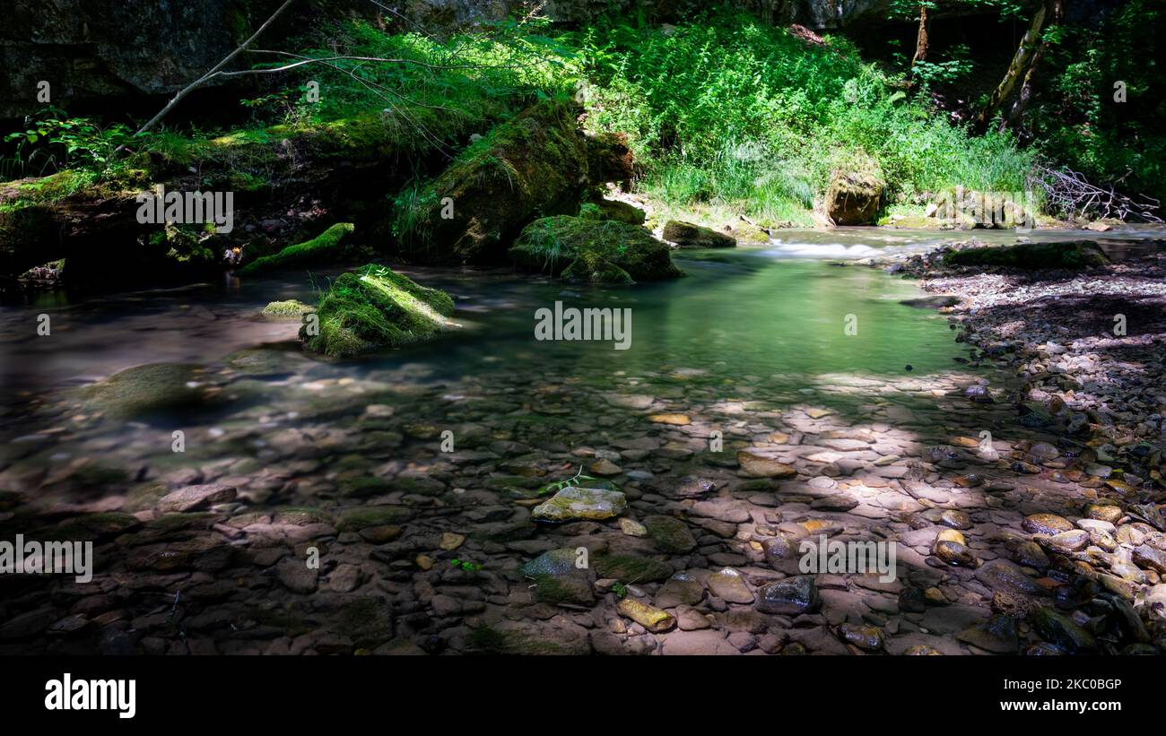 A flowing rocky river surrounded by dense trees in forest Stock Photo