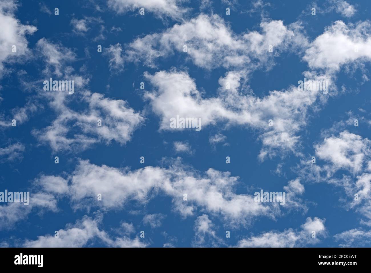 Small fleecy clouds, cirrocumulus, against a blue sky Stock Photo