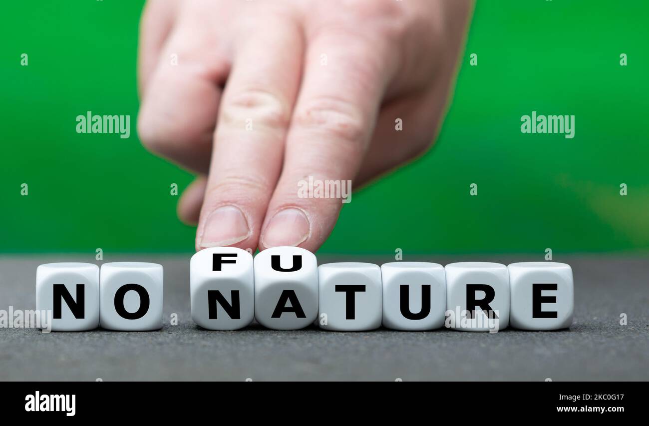 There is no future without a healthy nature. Dice form the expressions 'no future' and 'no nature'. Stock Photo