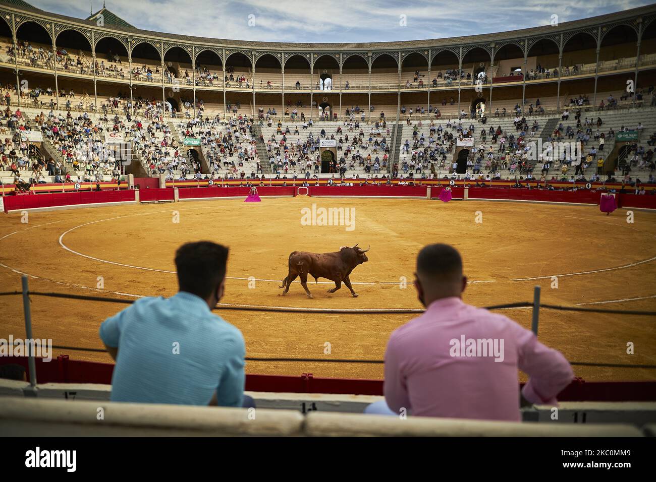 Two men see the bull from the stands during the Virgen de las Angustias ...