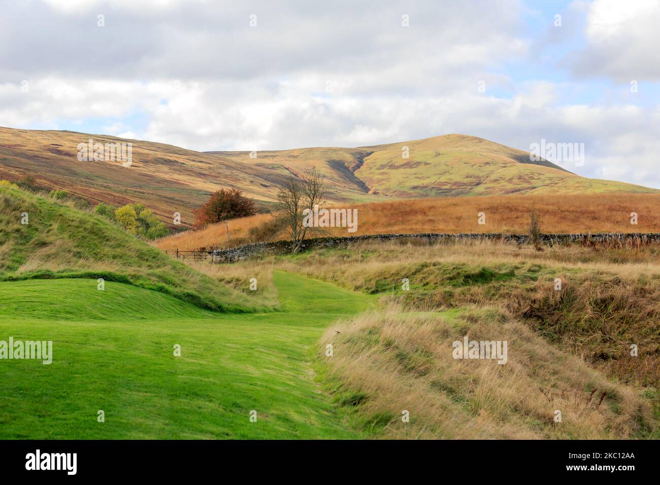 View down a groomed grass pathway looking towards a Scottish hillside landscape Stock Photo